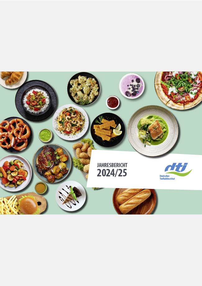 Cover des dti Jahresberichts 2024/2025