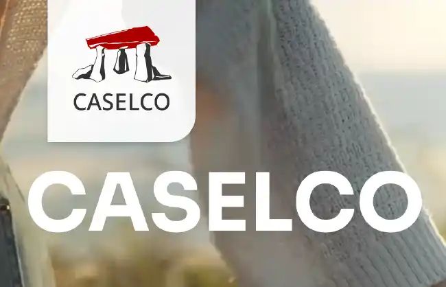 CASELCO COWORKING Webseite