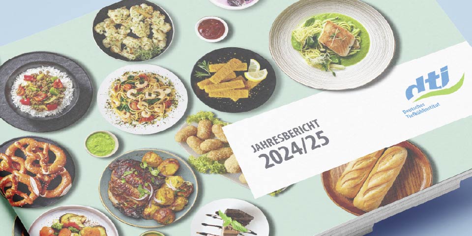 Cover vom dti Jahresbericht 2024/2025