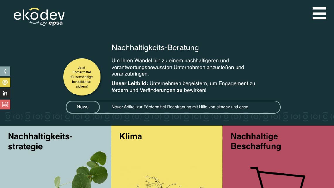 Entwurf der Webseite von ekodev
